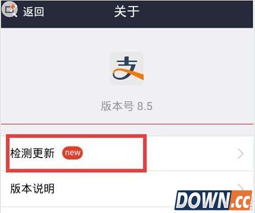 支付宝找不到地方输红包口令