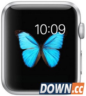 代工厂泄露iPhone7发布时间