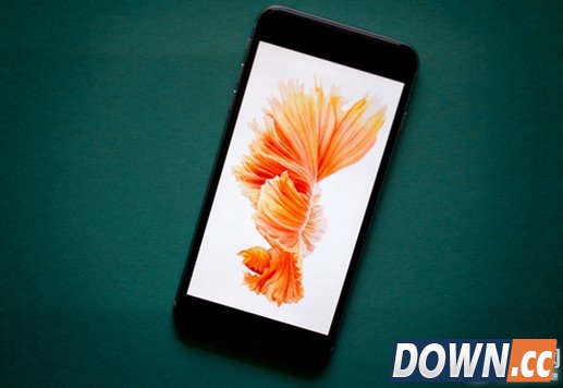 代工厂泄露iPhone7发布时间