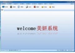 美妍连锁管理系统 V2.0.0.0 官方版