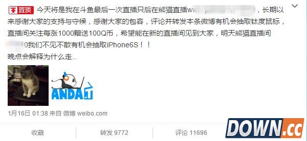 魔兽后裔因斗鱼拖欠工资跳槽到熊猫TV