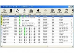 CrowdInspect(CrowdInspect官方免费下载)V1.0.0.1官方版