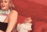 搞笑喵星人打扰主人撸的情趣