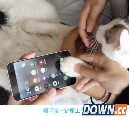 冬天玩手机必备装备长草