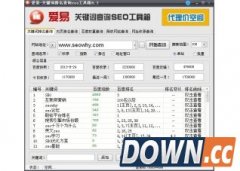 爱易降权网站查询seo工具箱6.4绿色版