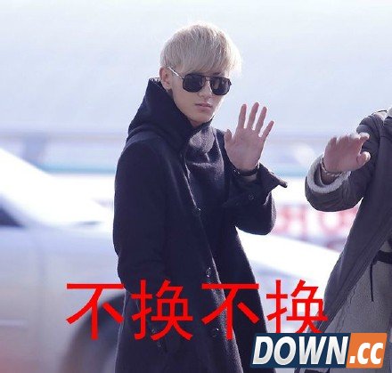 支付宝敬业福表情包汇总 法式福气乐翻天