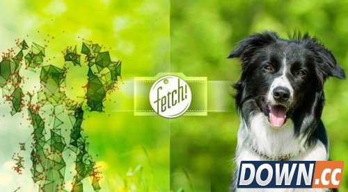 微软"Fetch!"怎么用来识别狗种