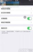 iPhone手机越狱后指纹支付不能用了怎么办/解决方法