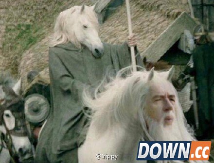 face swap live搞笑图