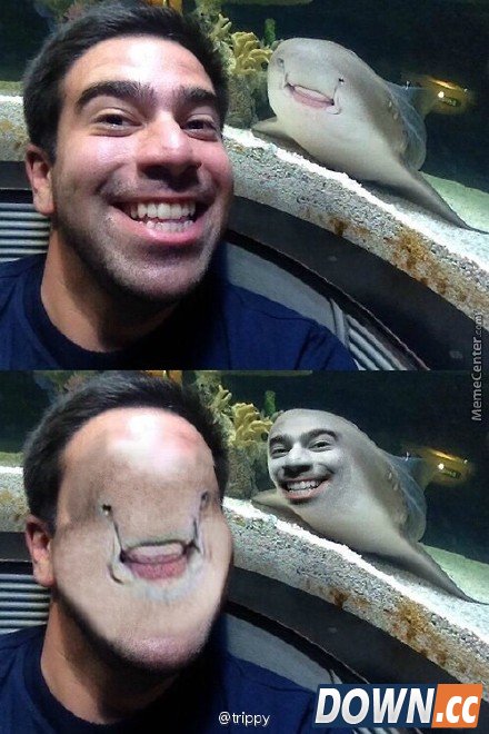 face swap live搞笑图