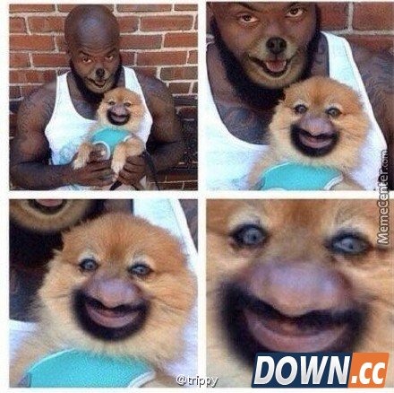 face swap live搞笑图