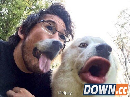 faceswap搞笑作品合集 faceswaplive换脸图片汇总