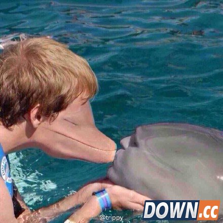 face swap live搞笑图