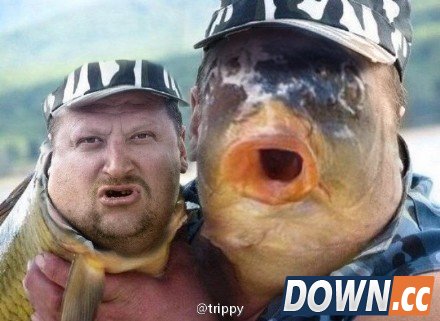 face swap live搞笑图