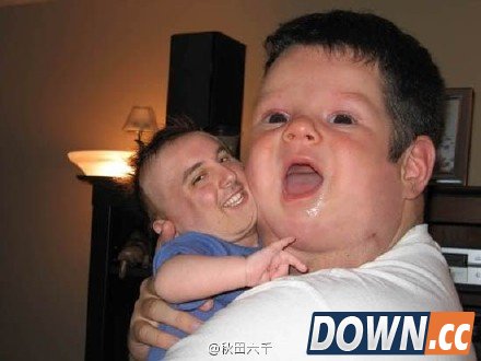 face swap live搞笑图