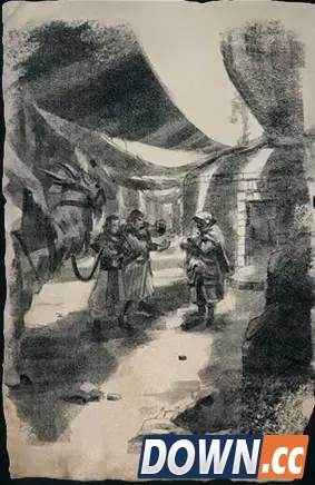 LOL新英雄烬同人文