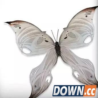 LOL新英雄烬同人文