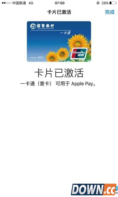 Apple Pay