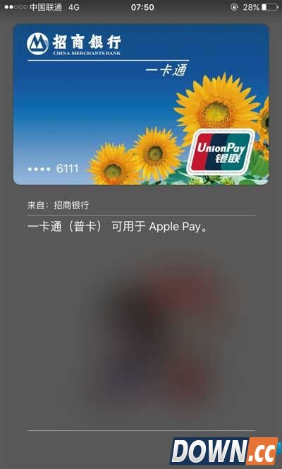 Apple Pay