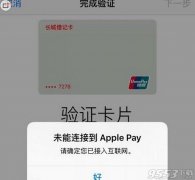 中国果粉太狂热 Applepay服务器不堪压力