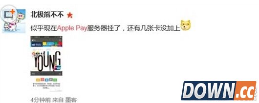 apple pay绑定银行卡失败怎么办