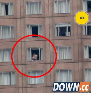 249亿像素上海外滩图查看网址