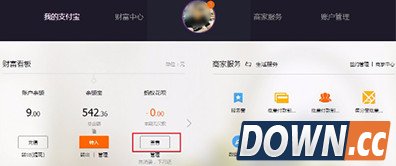 蚂蚁花呗怎么查消费明细？支付宝蚂蚁花呗还款流水查询方法