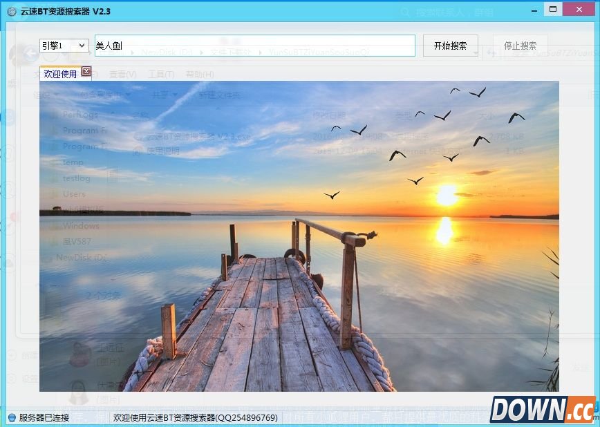 云速BT资源搜索器 v4.8 官方最新免费版