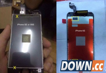 苹果新品iPhone5SE不搭载3Dtouch