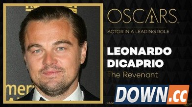 小李奥斯卡夺金网友喜大普奔