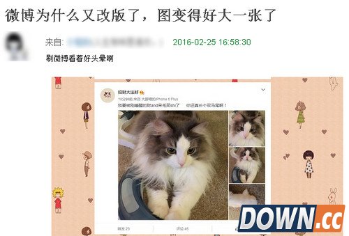 微博大图改版网友再骂脑残