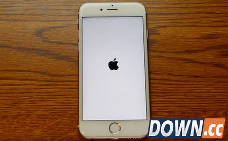 WhatsApp严重影响iPhone机身内存