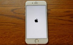 曝WhatsApp bug造成iphone机身内存不足