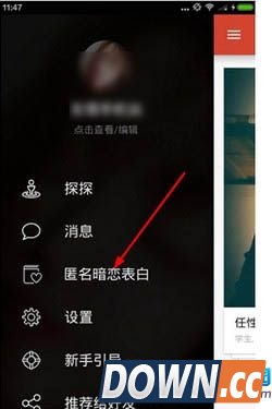 探探暗恋匿名表白怎么玩