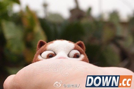 超萌毛毡版doge狗喵喵表情