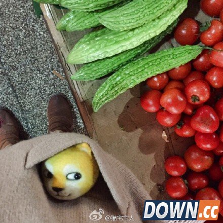 超萌毛毡版doge狗喵喵表情