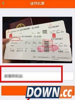 迪拜机票图生成器网址