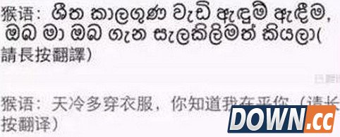 微信怎么打猴语