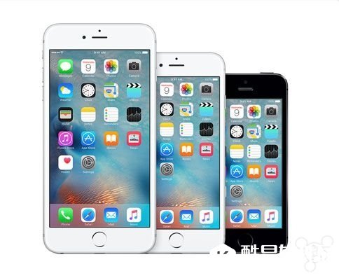 罪犯交出iPhone密码可轻判