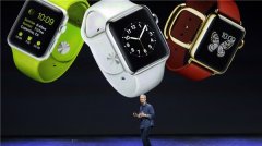 Apple Watch能否成为新型的苹果iPhone