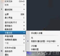 影音先锋播放器怎么搜索字幕