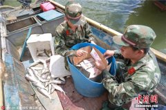 走私出新招：370部苹果iPhone藏鱼桶被查