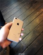 苹果iPhone7/Plus/Pro齐曝光