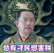 总有刁民想害朕下一句是什么 出处是哪里