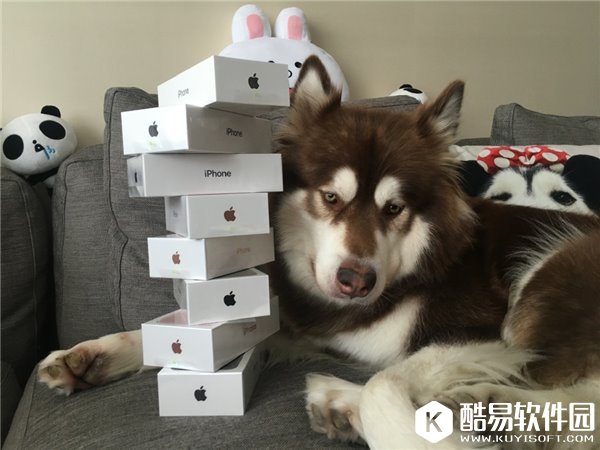 王思聪为爱犬买8台苹果iPhone7/7 Plus，大呼“被逼出手”
