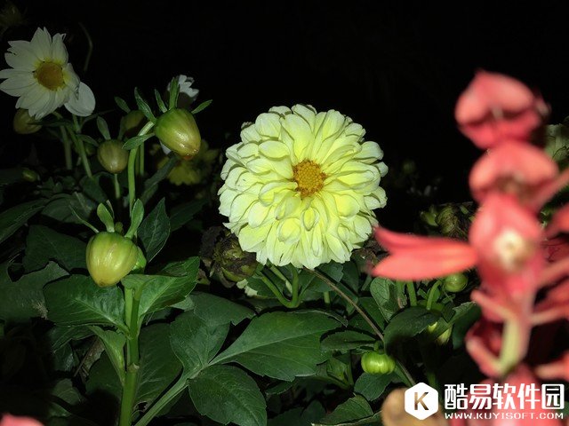 iPhone7=2x iPhone6s闪光灯 用处何在?