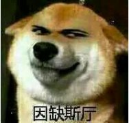 因缺思厅是什么意思 因缺思厅是什么梗