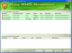 SpyBHORemover V4.6绿色版
