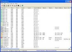 CurrPorts 64位V2.3.0.0官方版