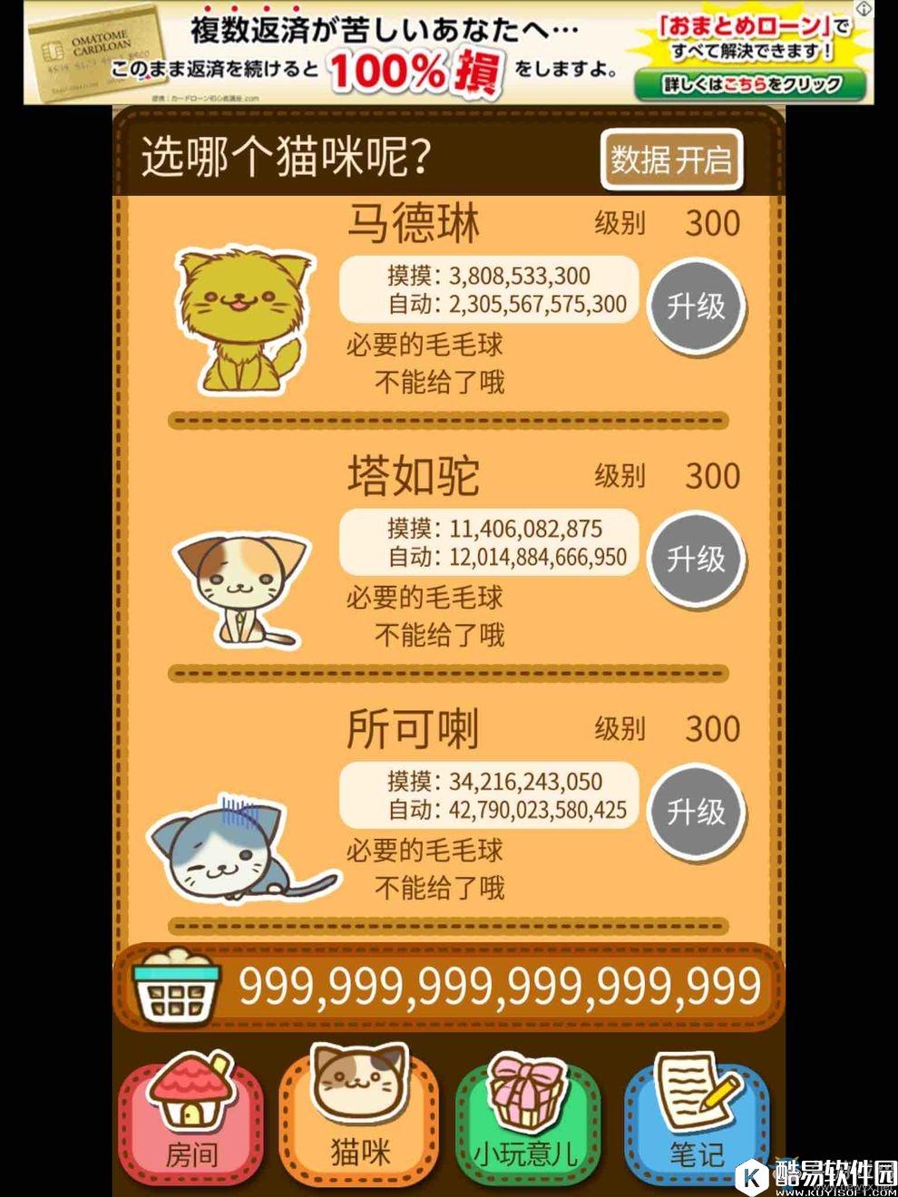 猫咪的毛图鉴大全